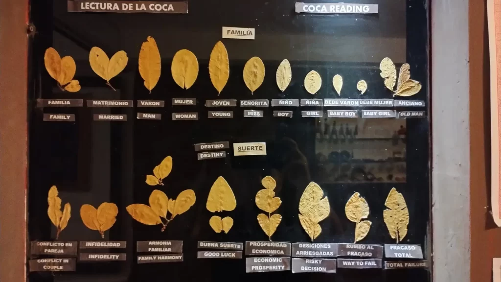 Folha de Coca